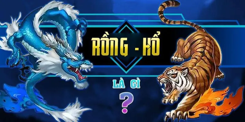 Chơi Rồng Hổ Online: Đừng Bỏ Qua Những Lưu Ý Này