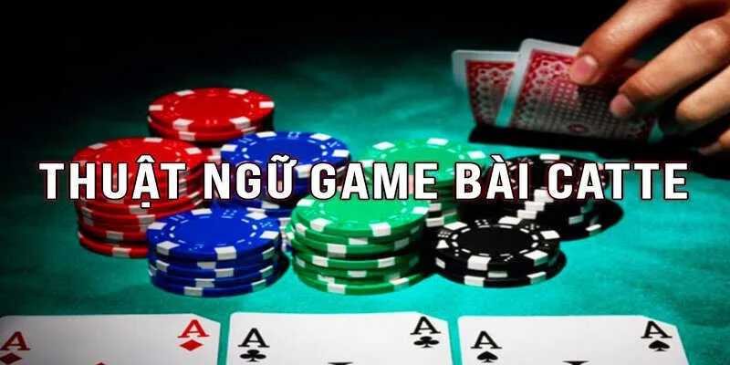 Từ Điển Thuật Ngữ Bài Catte Cho Người Mới