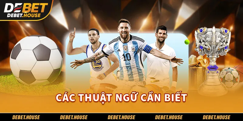 Các thuật ngữ cần biết