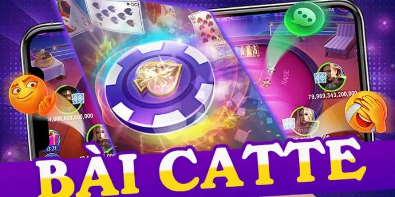 Hướng Dẫn Chơi Bài Catte Đơn Giản Cho Người Mới