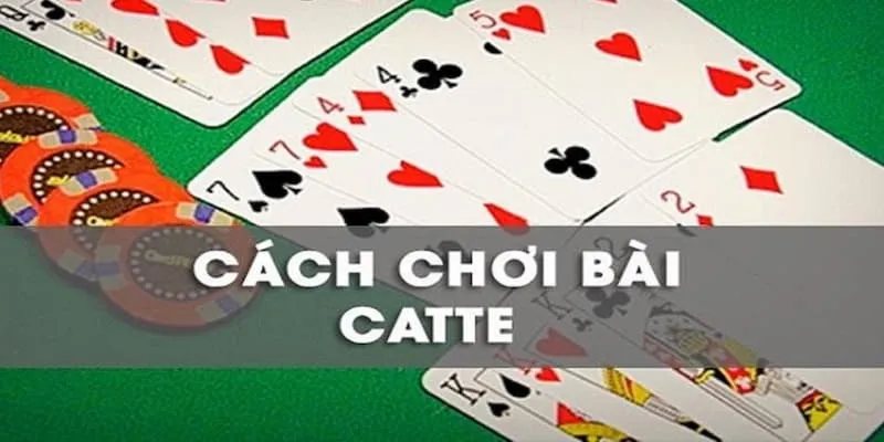 Luật Chơi Bài Catte Chi Tiết