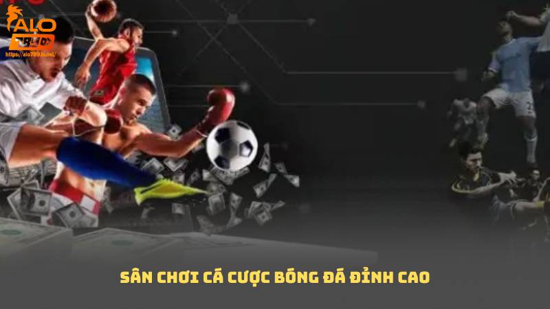 Sân chơi cá cược bóng đá đỉnh cao